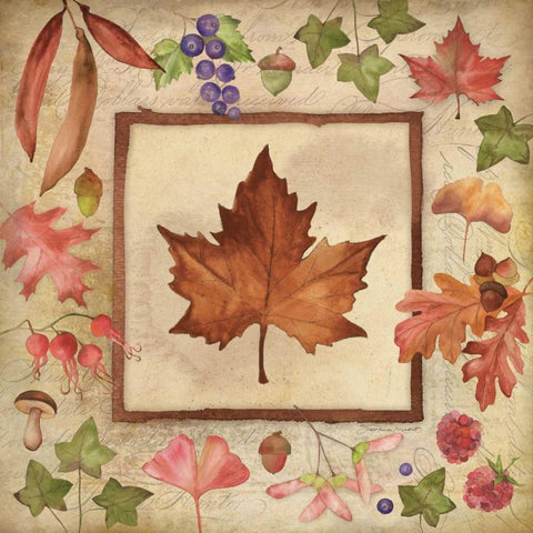 Maple of Fall 1 Black Modern Wood Framed Art Print with Double Matting by Marrott, Stephanie