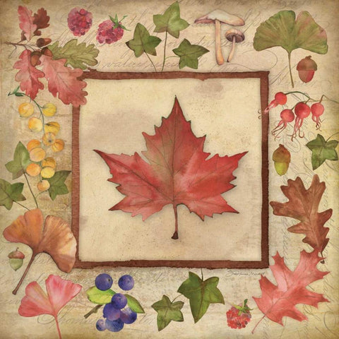 Maple of Fall 2 White Modern Wood Framed Art Print by Marrott, Stephanie