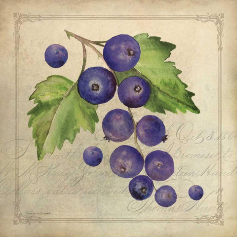 Blueberry Collage White Modern Wood Framed Art Print with Double Matting by Marrott, Stephanie