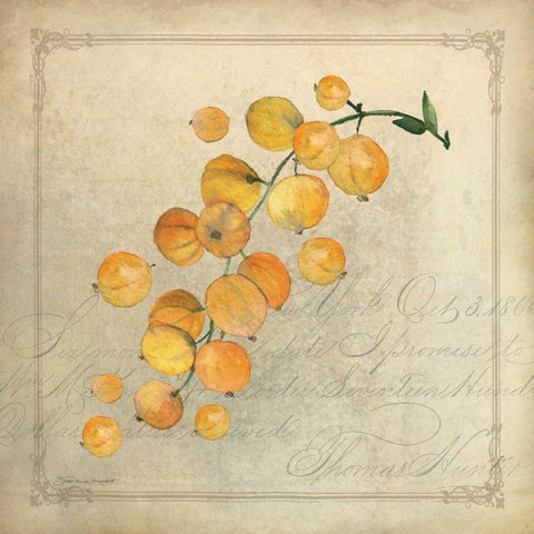 Yellow Berries Black Ornate Wood Framed Art Print with Double Matting by Marrott, Stephanie