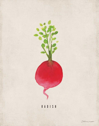 Radish White Modern Wood Framed Art Print with Double Matting by Marrott, Stephanie