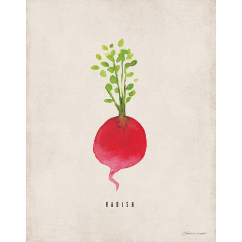 Radish White Modern Wood Framed Art Print by Marrott, Stephanie