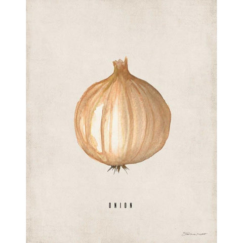 Onion White Modern Wood Framed Art Print by Marrott, Stephanie