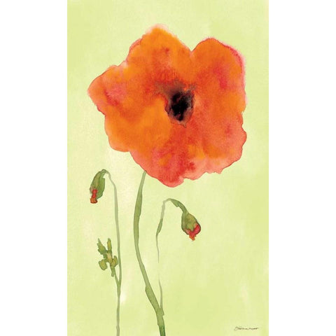 Poppyface White Modern Wood Framed Art Print by Marrott, Stephanie