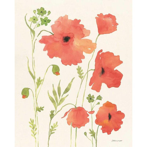 Poppy Garden White Modern Wood Framed Art Print by Marrott, Stephanie