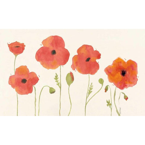 Poppies Black Modern Wood Framed Art Print with Double Matting by Marrott, Stephanie