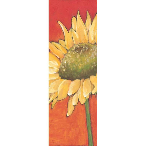 Sunny Flower Black Modern Wood Framed Art Print with Double Matting by Marrott, Stephanie