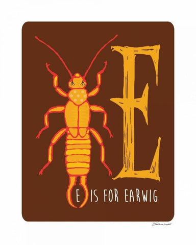 E is For Earwig White Modern Wood Framed Art Print with Double Matting by Marrott, Stephanie