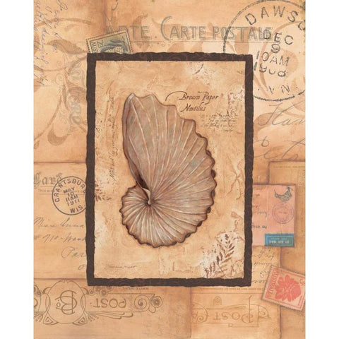 Nautilus Black Modern Wood Framed Art Print with Double Matting by Marrott, Stephanie