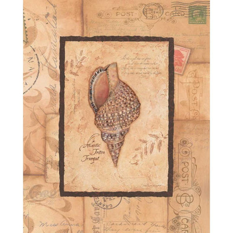 Triton Black Modern Wood Framed Art Print by Marrott, Stephanie