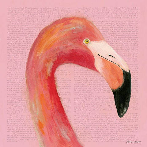 Flamingo Face in Pink Black Modern Wood Framed Art Print with Double Matting by Marrott, Stephanie