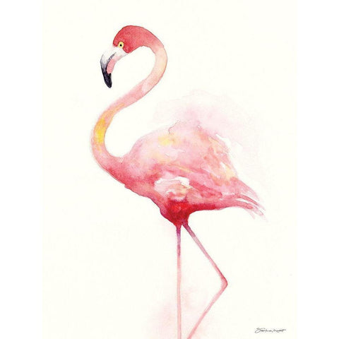 Flamingo I Black Modern Wood Framed Art Print with Double Matting by Marrott, Stephanie