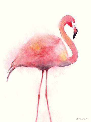 Flamingo II White Modern Wood Framed Art Print with Double Matting by Marrott, Stephanie