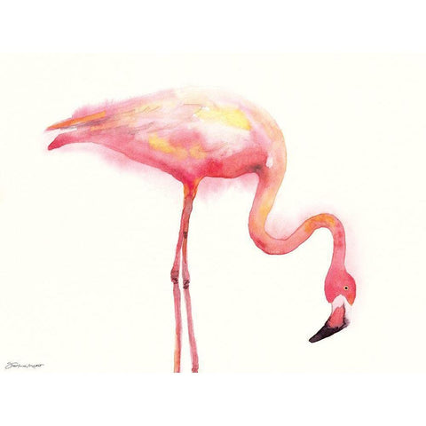 Flamingo III Black Modern Wood Framed Art Print with Double Matting by Marrott, Stephanie