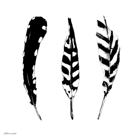 Three Feathers Black Modern Wood Framed Art Print with Double Matting by Marrott, Stephanie