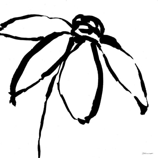 Image Only