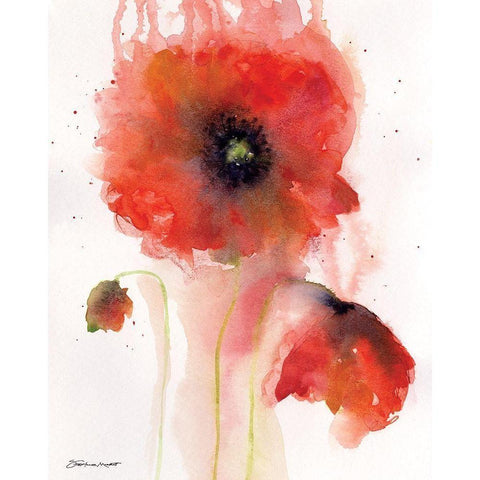 Poppy Impressions II Black Modern Wood Framed Art Print with Double Matting by Marrott, Stephanie