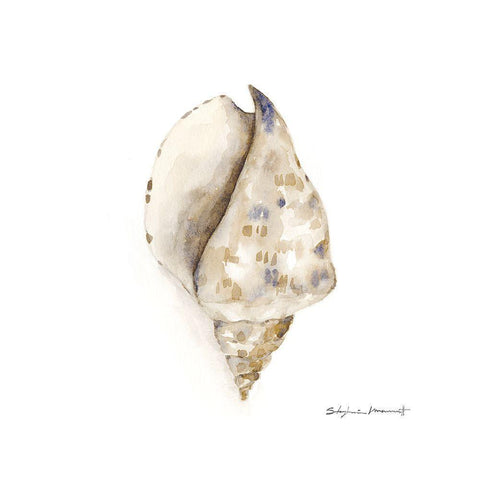 Gift From The Sea II Black Modern Wood Framed Art Print with Double Matting by Marrott, Stephanie