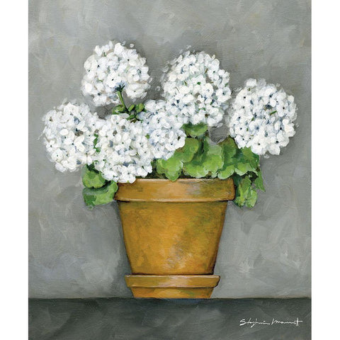 Geraniums In Bloom White Modern Wood Framed Art Print by Marrott, Stephanie