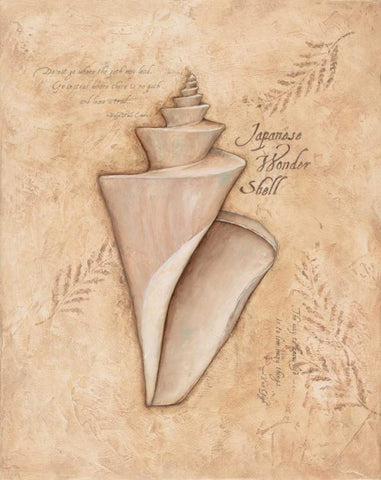 Japanese Wonder Shell White Modern Wood Framed Art Print with Double Matting by Marrott, Stephanie