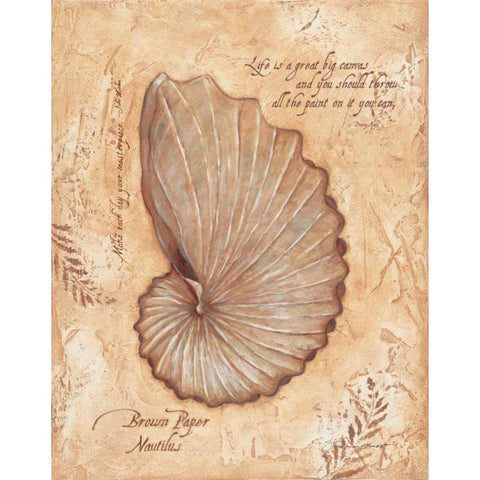 Brown Paper Nautilis White Modern Wood Framed Art Print by Marrott, Stephanie