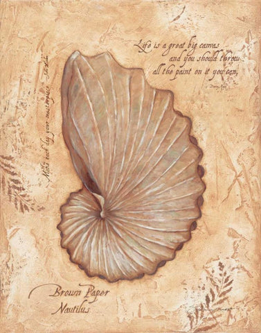 Brown Paper Nautilis White Modern Wood Framed Art Print with Double Matting by Marrott, Stephanie