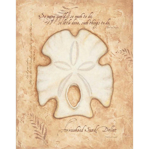 Arrowhead Sand Dollar Gold Ornate Wood Framed Art Print with Double Matting by Marrott, Stephanie