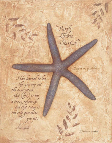 Starfish Black Ornate Wood Framed Art Print with Double Matting by Marrott, Stephanie