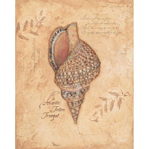 Atlantic Triton Black Modern Wood Framed Art Print by Marrott, Stephanie