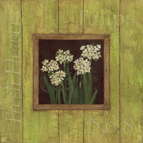 Paper Whites White Modern Wood Framed Art Print with Double Matting by Marrott, Stephanie