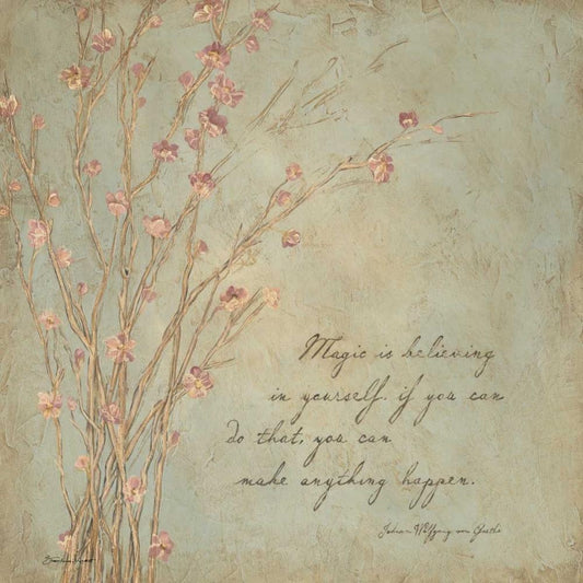 Image Only
