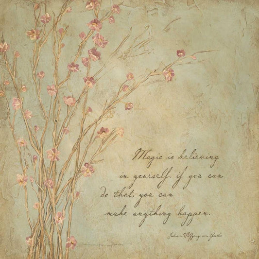 Image Only