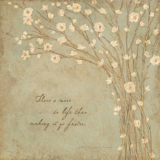Image Only