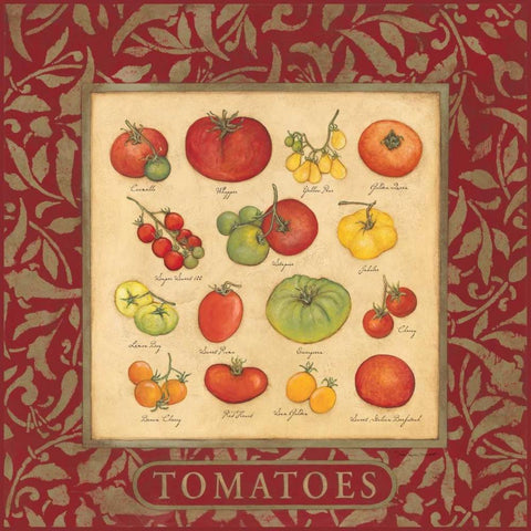 Tomatoes White Modern Wood Framed Art Print by Marrott, Stephanie