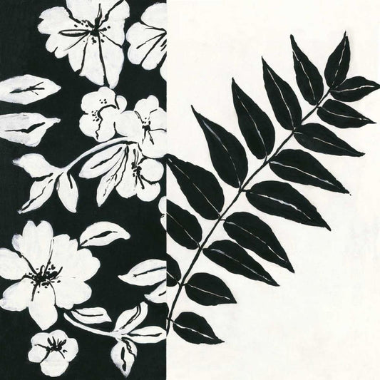 Image Only