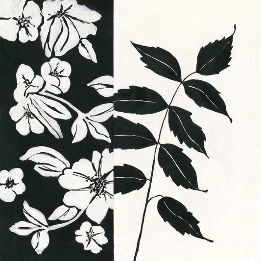 Image Only