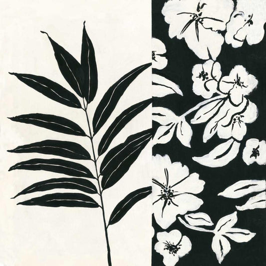 Image Only