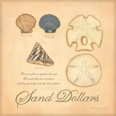 Sand Dollars White Modern Wood Framed Art Print by Marrott, Stephanie