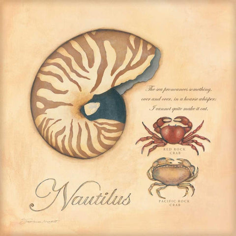 Nautilus White Modern Wood Framed Art Print by Marrott, Stephanie