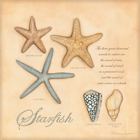 Starfish White Modern Wood Framed Art Print with Double Matting by Marrott, Stephanie