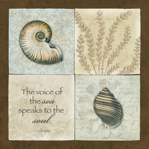 The Voice of the Sea White Modern Wood Framed Art Print by Marrott, Stephanie