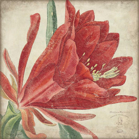 Red Flower Gold Ornate Wood Framed Art Print with Double Matting by Marrott, Stephanie