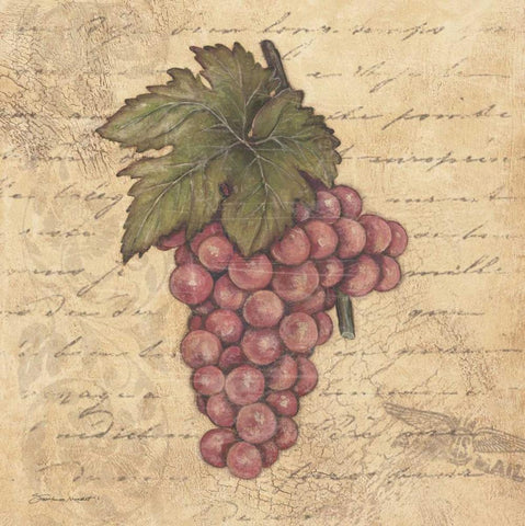 Grapes II White Modern Wood Framed Art Print with Double Matting by Marrott, Stephanie