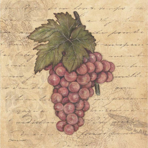 Grapes II Black Modern Wood Framed Art Print with Double Matting by Marrott, Stephanie