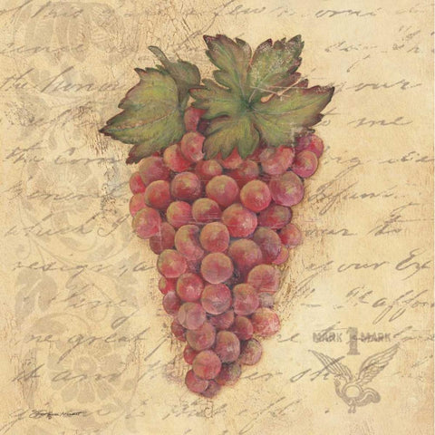 Grapes III Black Modern Wood Framed Art Print with Double Matting by Marrott, Stephanie