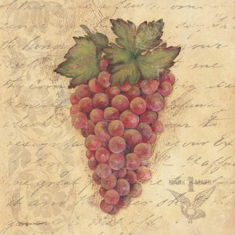 Grapes III White Modern Wood Framed Art Print with Double Matting by Marrott, Stephanie