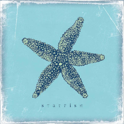 Starfish Black Modern Wood Framed Art Print with Double Matting by Marrott, Stephanie