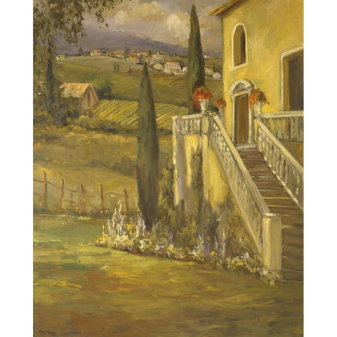 Latin Calm II White Modern Wood Framed Art Print by Stevens, Allayn