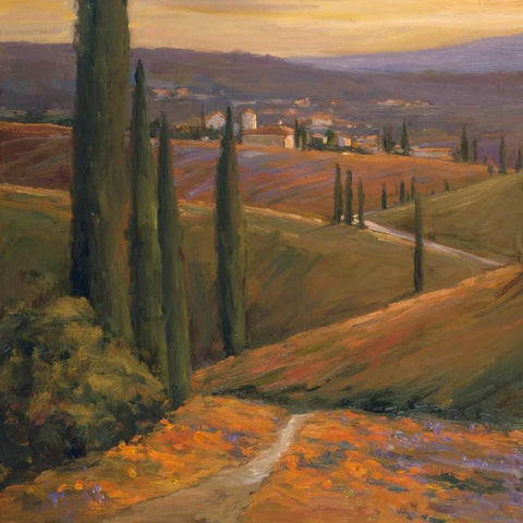 Afternoon Walk I Black Modern Wood Framed Art Print with Double Matting by Stevens, Allayn