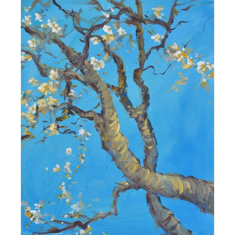 Cherry Blossom -1 White Modern Wood Framed Art Print by Stevens, Allayn